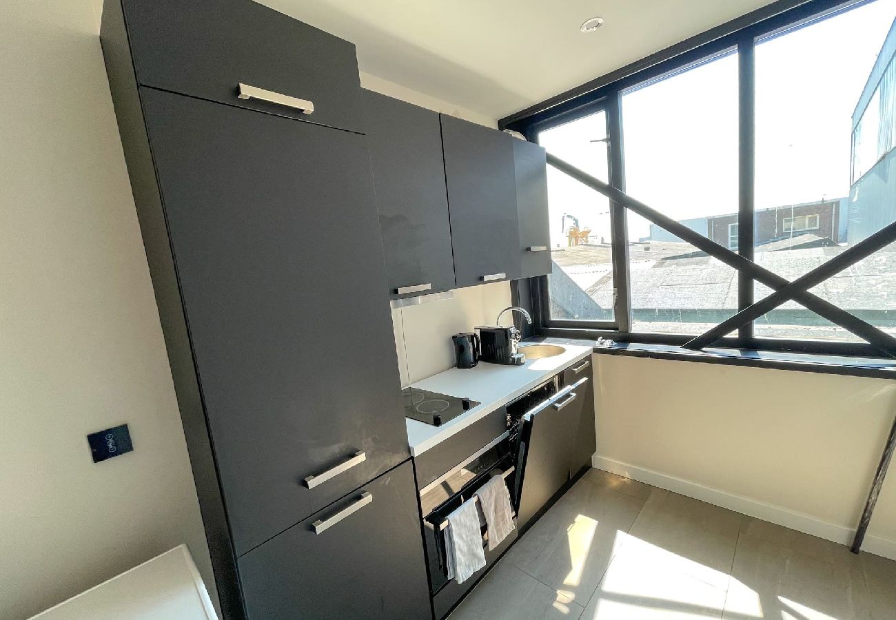 Appartement in IJmuiden - 3 Complete Business Serviced Studio Apartments 