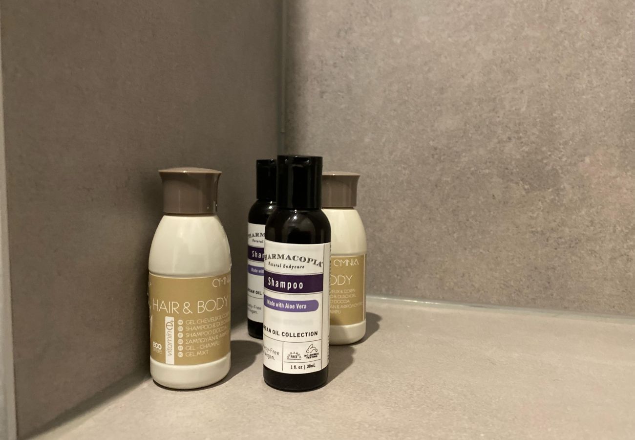 Appartement in Amsterdam - 3 BR. Apt in east with optional parking