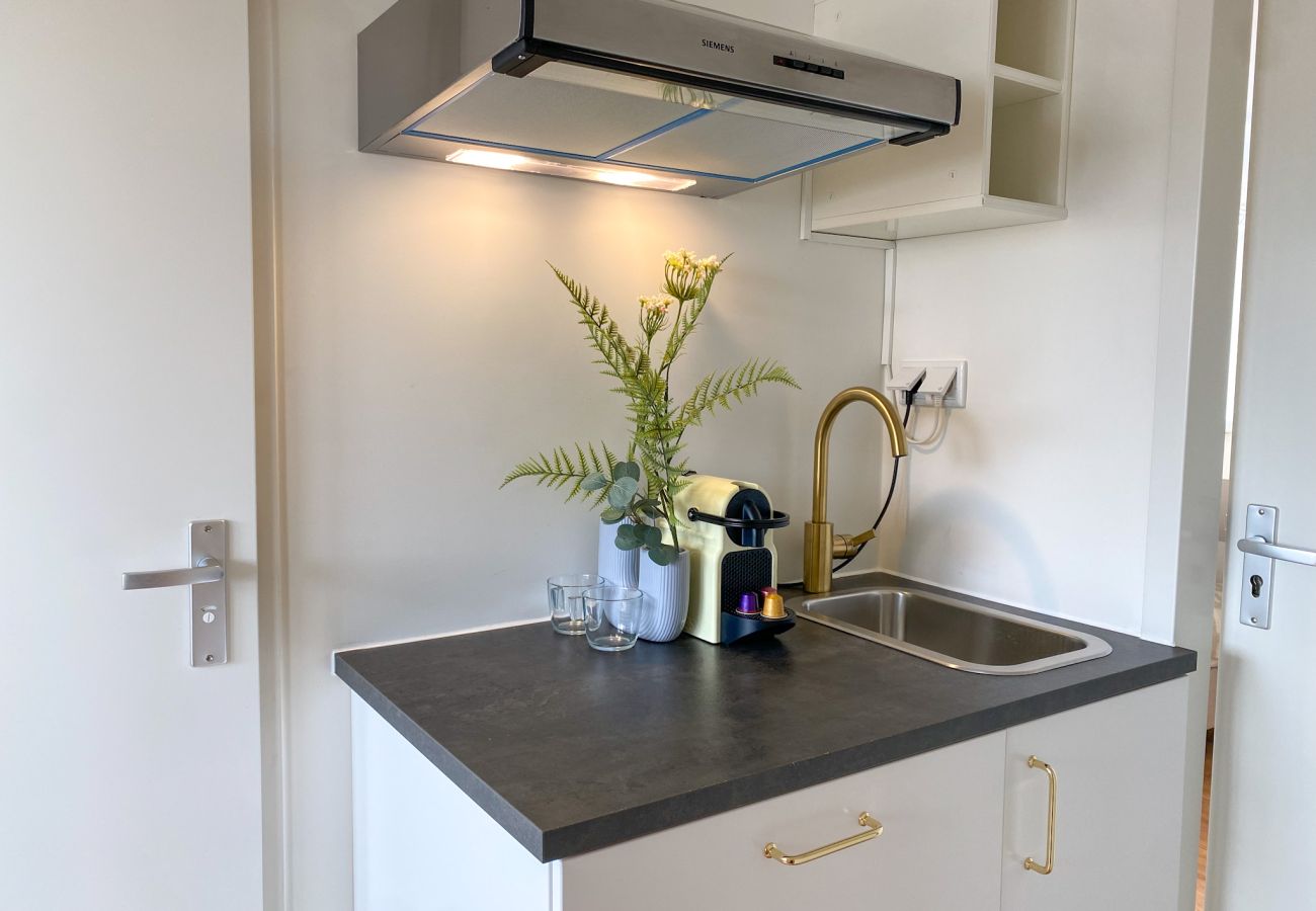 Appartement in Ouderkerk aan de Amstel - Luxury Spacious 7 bedroom / 3 bathroom apt.