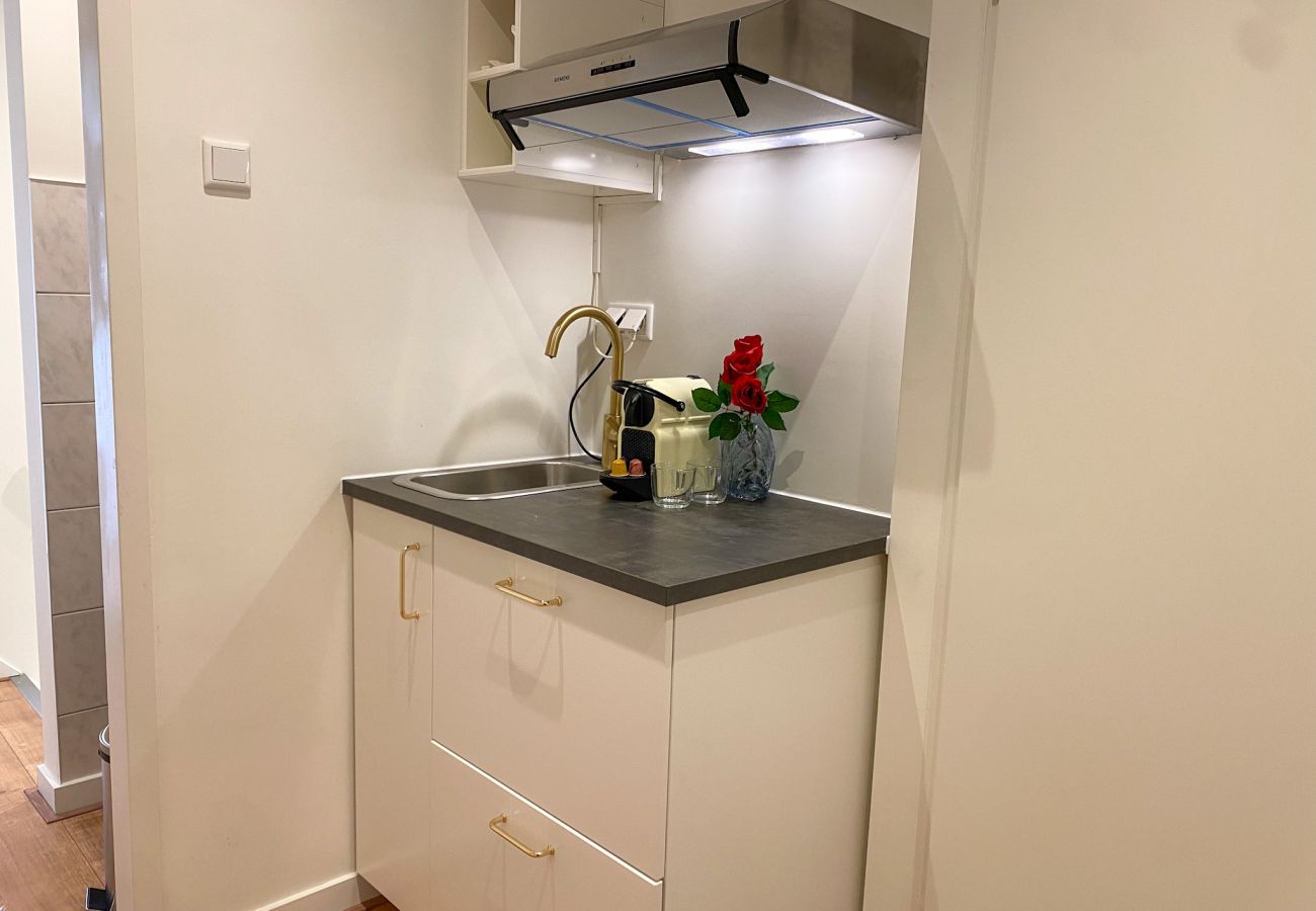 Appartement in Ouderkerk aan de Amstel - Luxury Spacious 7 bedroom / 3 bathroom apt.