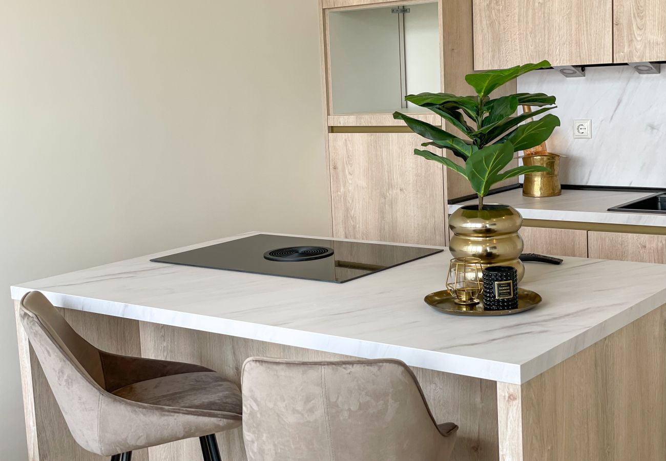 Studio in Den Haag / ´s-Gravenhage - Nicolaas Tulpstraat 75-Achter